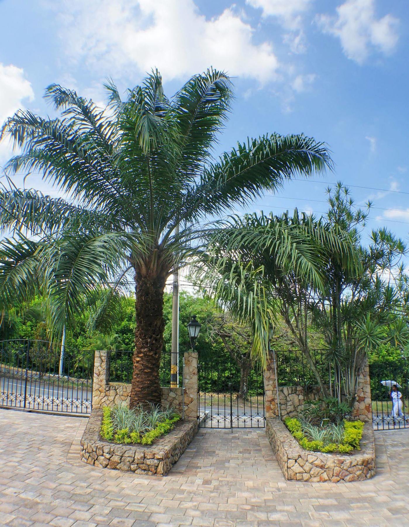 Urban Hotel Boutique Menga Ngoại thất bức ảnh
